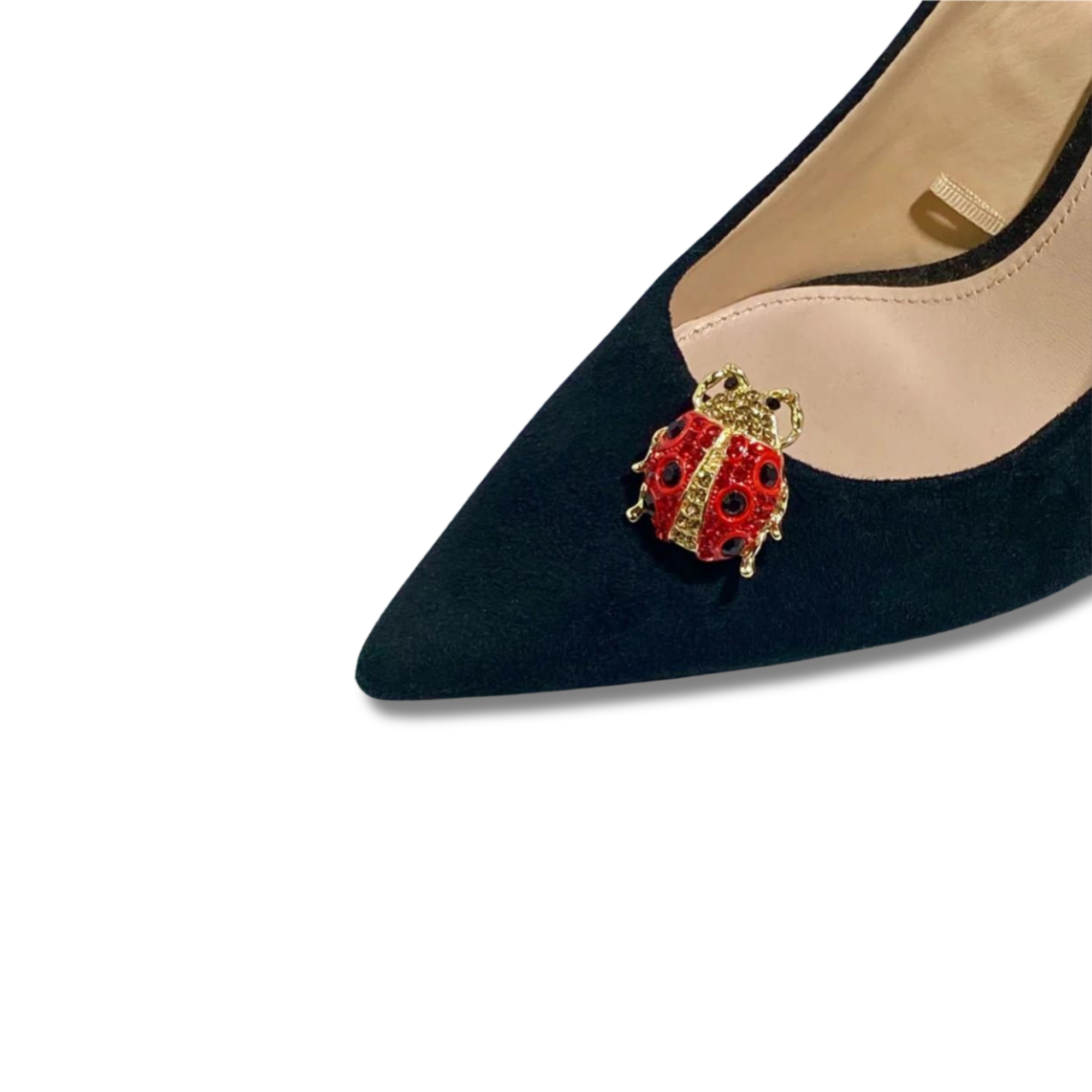 Shoe clip ladybug